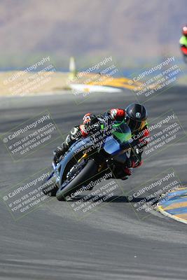 media/May-11-2024-SoCal Trackdays (Sat) [[cc414cfff5]]/4-Turns 9 and 8 (9am)/